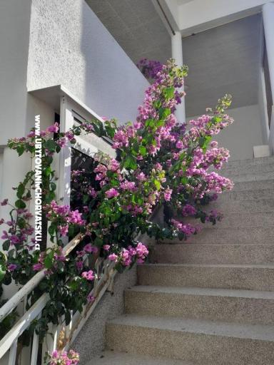 Sobe Katja Gradac center – foto 18