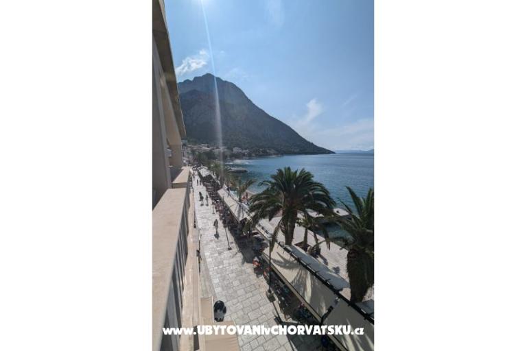 Vice Apartmaji – foto 4