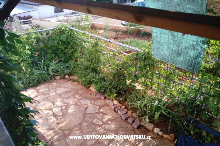 Apartma Paiz – foto 10