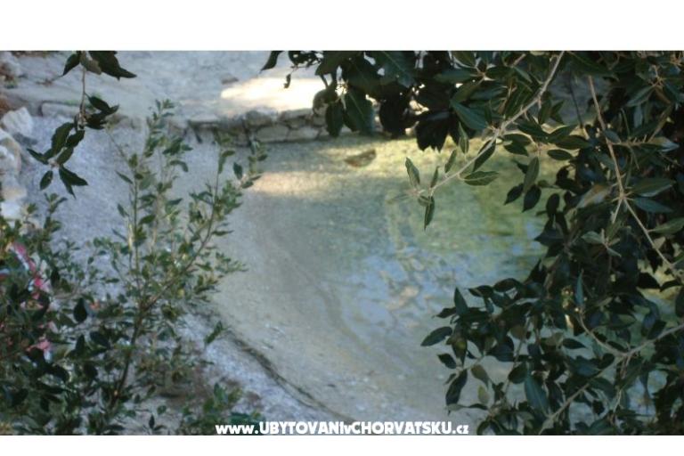 Apartmaji Alenka – foto 9