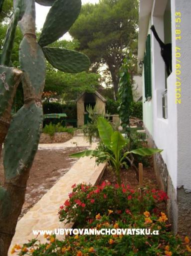 Apartmaji Antica – foto 9