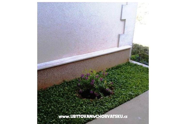 Apartmaji Belić Nikola – foto 17