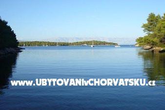 Apartmaji Brkan – foto 13