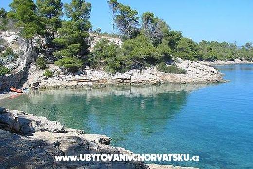 Apartmaji Brkan – foto 15