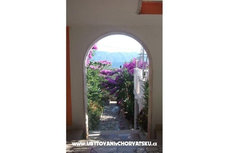 Apartmaji Nada – foto 4