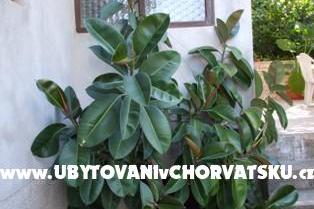Apartmaji Račić – foto 7