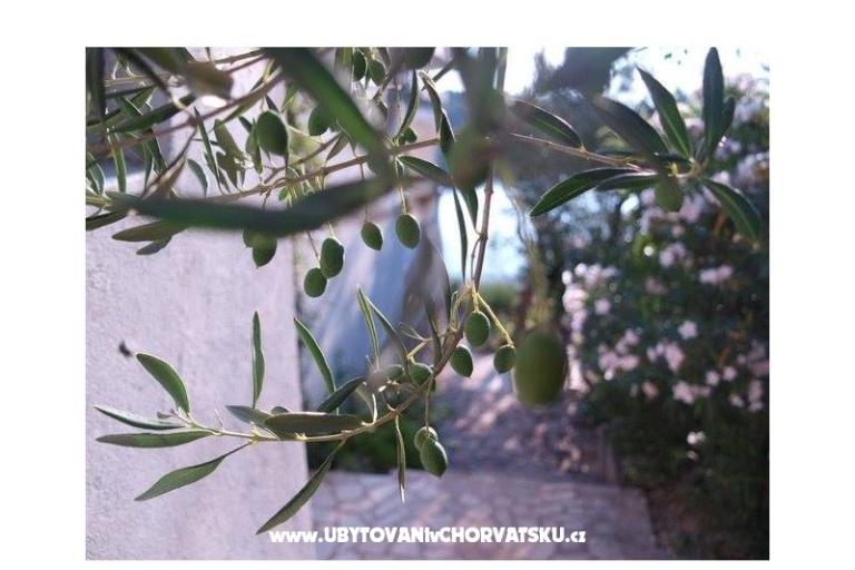 Apartmaji Stipišić – foto 6