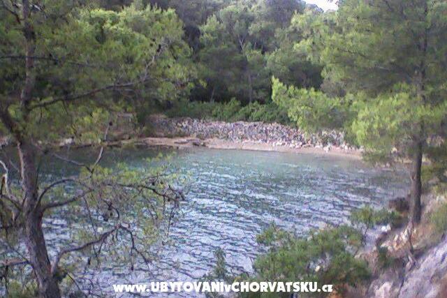 Apartmaji Vucelić – foto 3