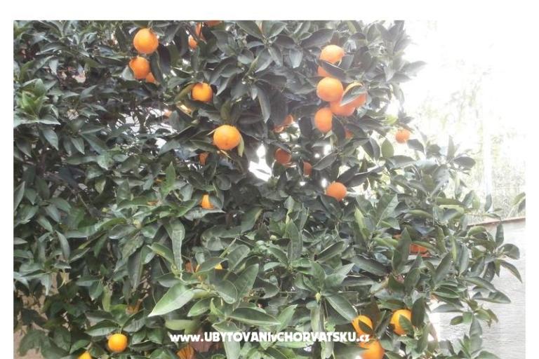 Apartmaji Bogović – foto 18