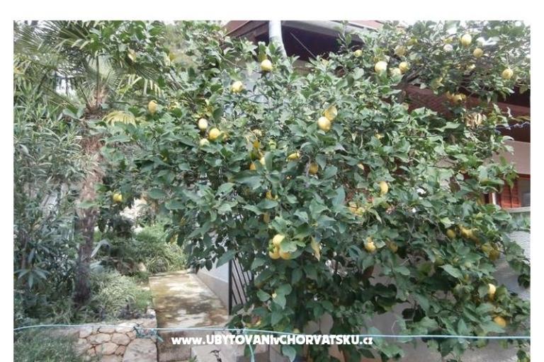 Apartmaji Bogović – foto 20
