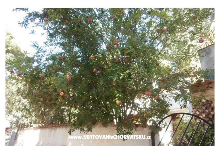 Apartmaji Bogović – foto 22