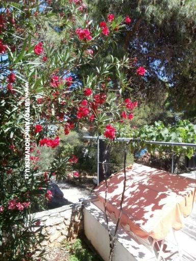 Apartmaji Bogović – foto 23