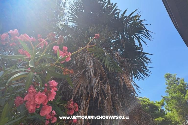 Apartmaji Bogović – foto 28
