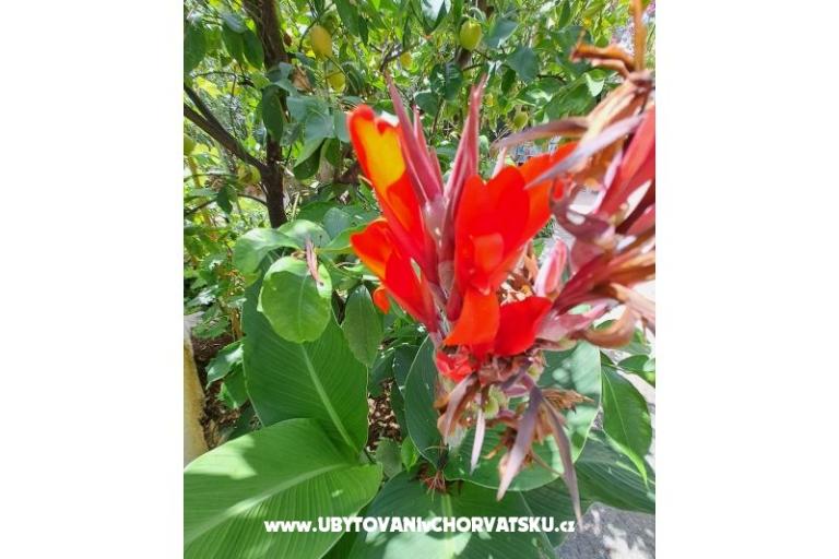 Apartmaji Bogović – foto 37