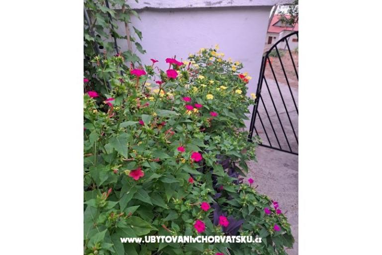 Apartmaji Bogović – foto 42