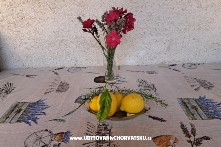 Apartmaji Bogović – foto 64