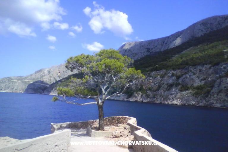 Apartmaji Arpina  – foto 20