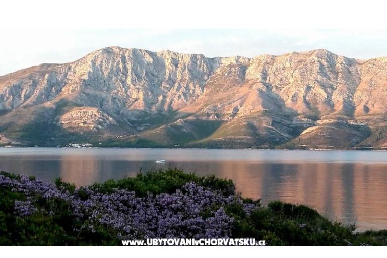 Apartmaji Raueiser – foto 15