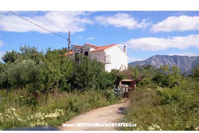 Apartmaji Rolanda – foto 13