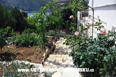 Apartmaji Boni – foto 3