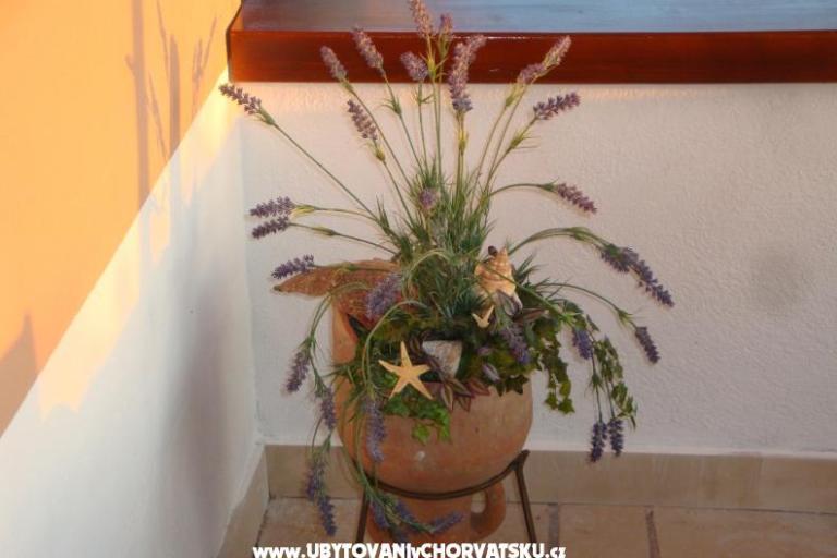 Hiša Jadranka – foto 7