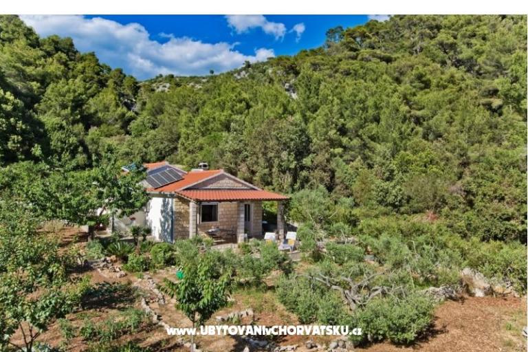 Hiša Patrizia – foto 13