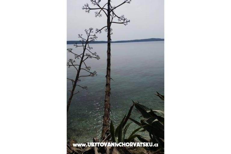 Počitniški dom Rubinić – foto 10