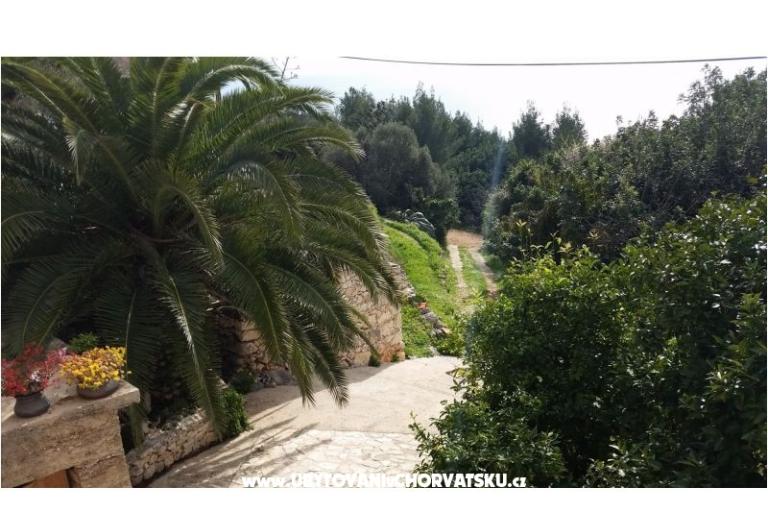 Počitniški dom Rubinić – foto 4