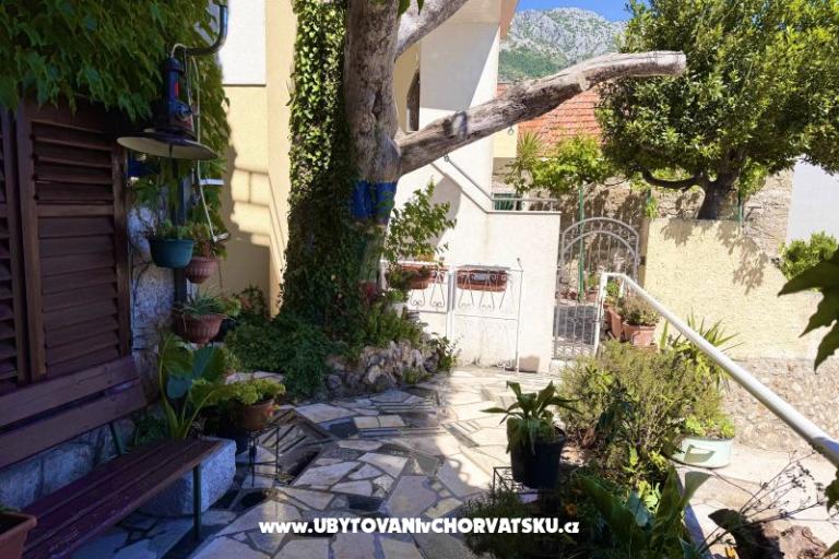 Apartmaji Andja – foto 7