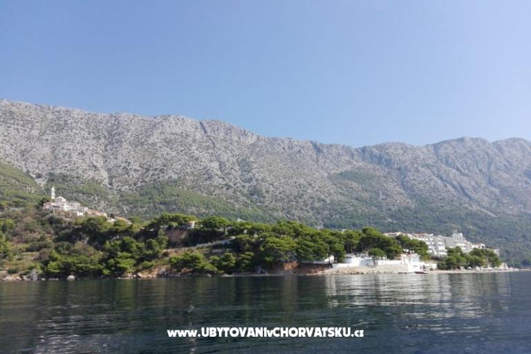 Apartmaji Ribica 1 – foto 9