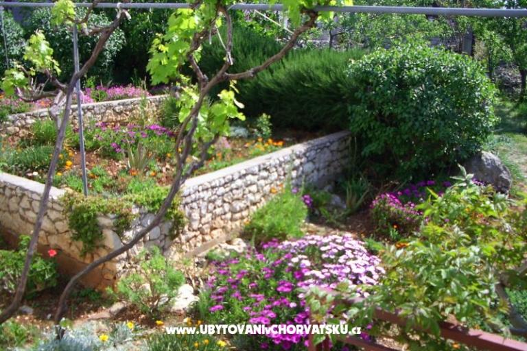 Apartma Buterin – foto 11