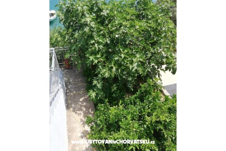 Apartmaji Kabli1 – foto 15