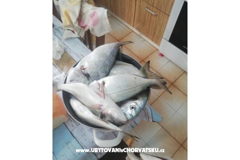 Apartmaji Kabli1 – foto 18