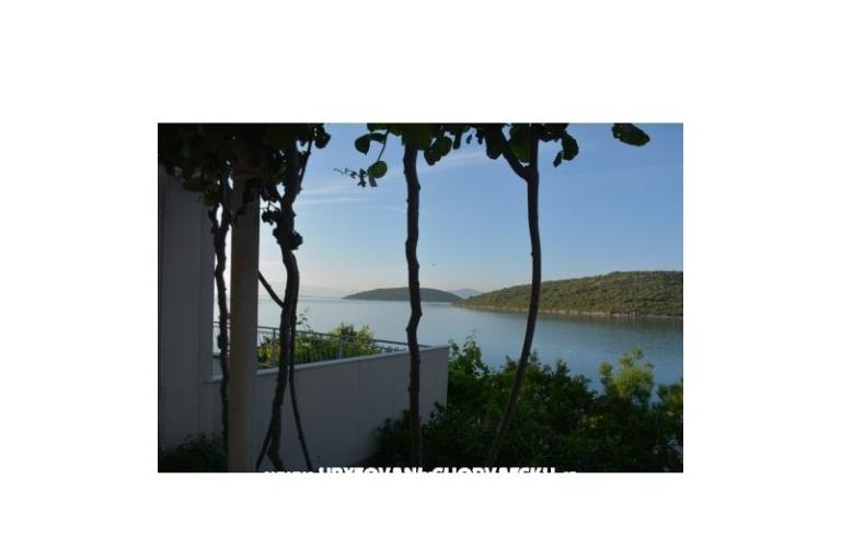 Apartmaji Ruža – foto 4