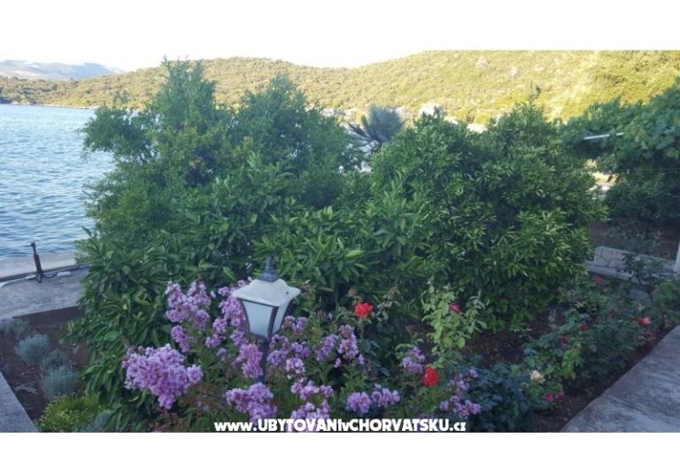 Apartmaji Ruža – foto 9