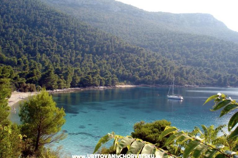 Apartmaji Trstenik – foto 8