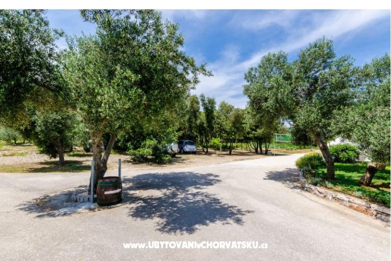 Apartmaji Glavor – foto 13