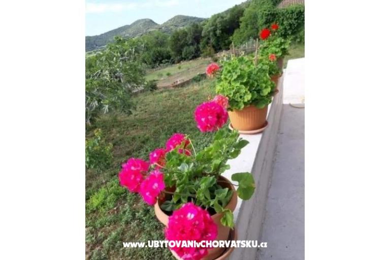 Gardenia Hiša – foto 11