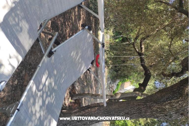 Ted Apartmaji – foto 13