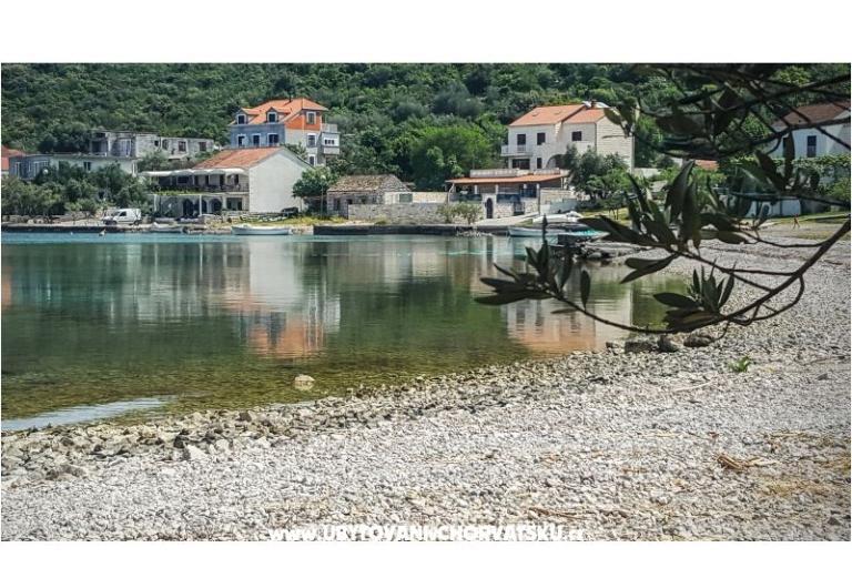 Ted Apartmaji – foto 8