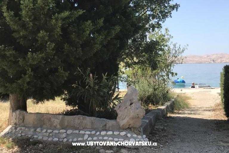 Apartmaji Ribarica – foto 13