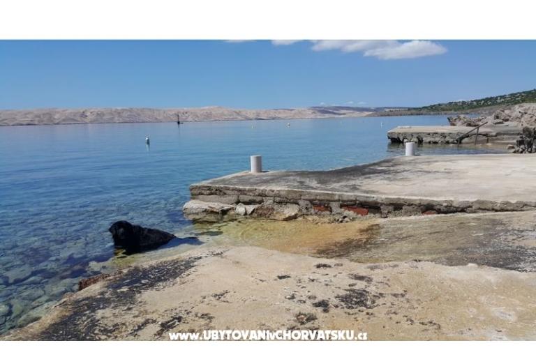 Apartmaji Palma – foto 10