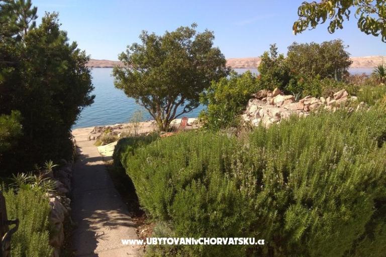 Apartmaji Ana-Marija – foto 3