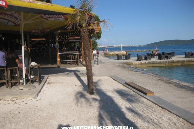 Apartma Palace – foto 12