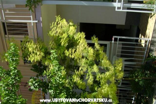 Apartmaji Botić – foto 8
