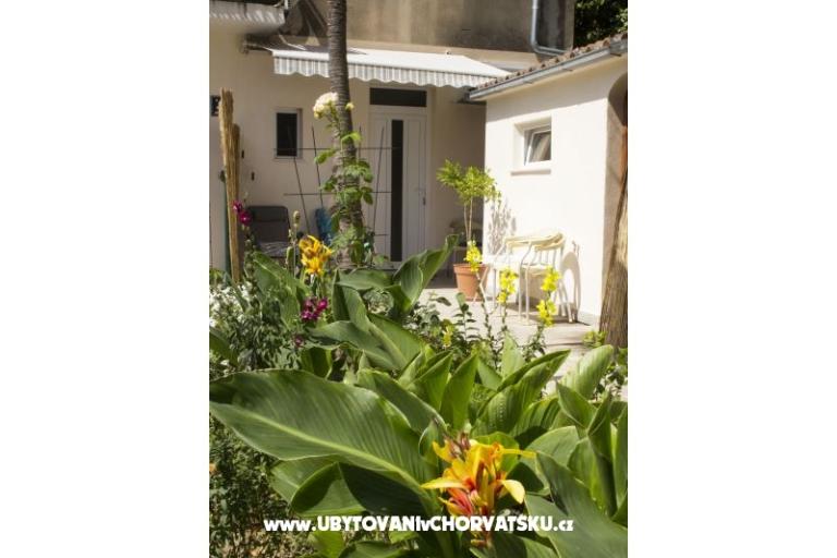 Apartmaji Bugenvilla – foto 11