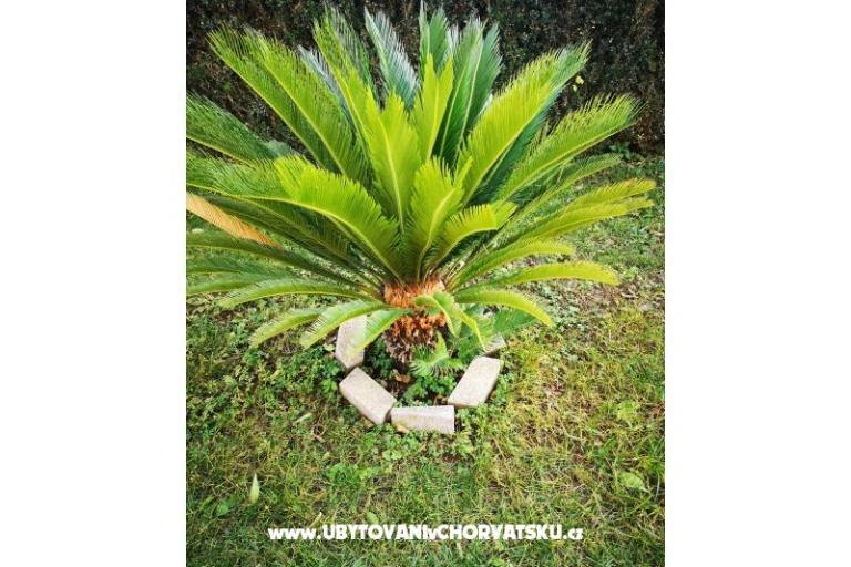 Apartmaji Hiša Valentin – foto 33