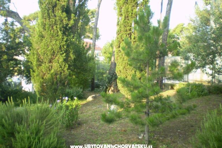 Apartmaji Grgin – foto 11