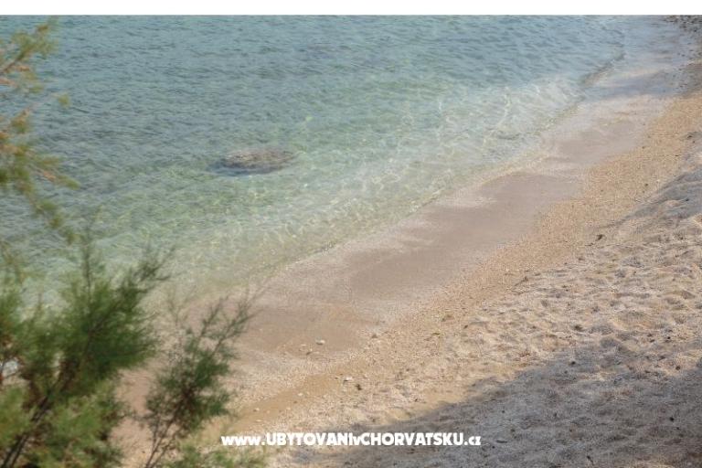 Hiša na plaži – foto 14