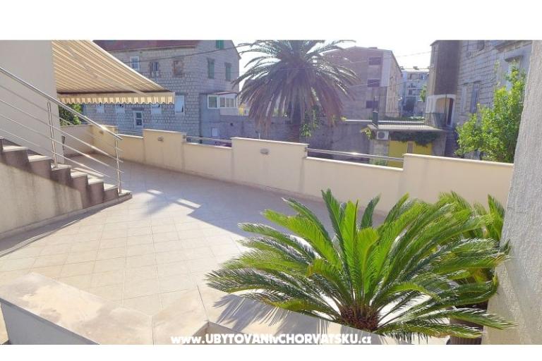 Zvijezda mora – foto 14